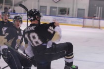 Vipers stung in overtime