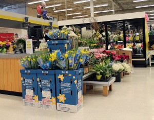 A daffodil display is front and centre at the floral section of the Real Canadian Superstore in support of the Canadian Cancer Society. (Photo by Dan Gray )