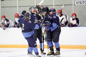 Integrity Amherstburg Admirals players celebrate a goal against Alvinston earlier this season.