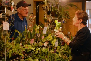 Doug Kennedy of Orchids in Our Tropics gives advice to Mary Caspers of the Windsor Orchid Society at their annual show and sale. PHOTO BY/KEN PASTUSHYN