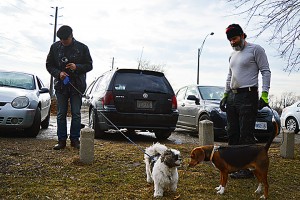 March 7 2016 Windsor ON--- Howard Weeks introduces his shih tzu ‘Bubba’ to one of Greg Allen’s three beagle mixed breeds at Optimist Memorial Park. PHOTO BY DAVID DYCK
