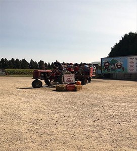 Visitors at Thiessen Orchards take a tractor ride to pick their own apples. Located at 400 Talbot Road East. (Photo by Kylie Turner).