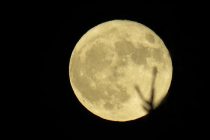Have you seen the Super Moon this year?