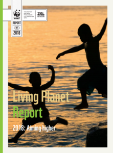 Cover of the Living Plant Report 2018 released by the World Wildlife Foundation on Monday, Oct. 29, 2018.