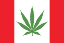 Windsor residents split on benefits of marijuana legalization