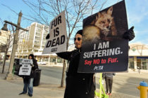 Protesters stand against animal cruelty