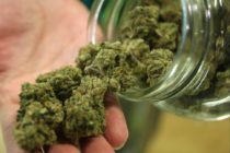 Dilkens in Favour of Cannabis Retail Opt-Out