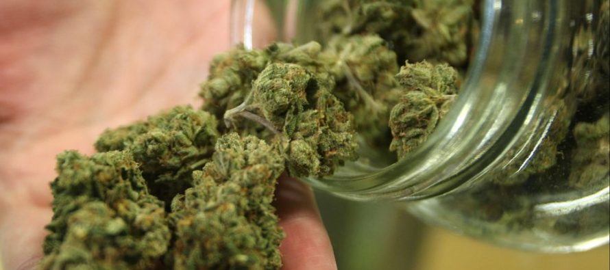 Dilkens in Favour of Cannabis Retail Opt-Out