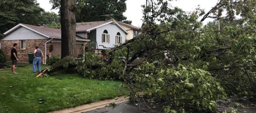 Summer storm wrought ‘havoc’ on city trees