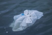 Plastic in our waters