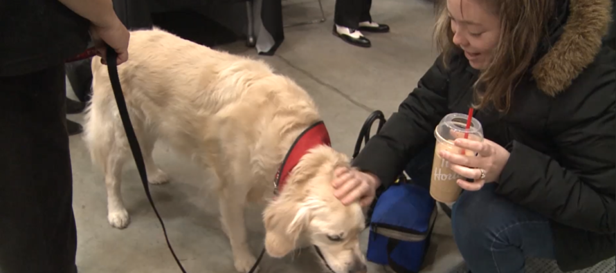 Students Paws for Therapy Dogs