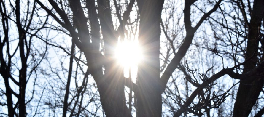 ‘Warm moist air’ responsible for sunny days this winter