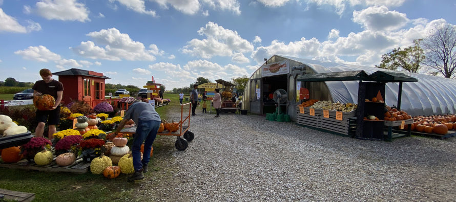 Pepe’s Pumpkin Patch Celebrates Pumpkin Season for its 14th Year