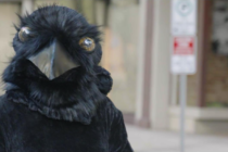 Chatham-Kent’s Crowfest Returns for a Second Year