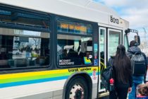 Buses are back on track