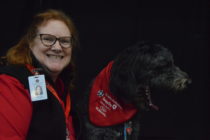 St. John Ambulance Therapy Dogs visit St. Clair College