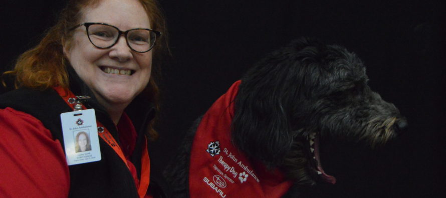 St. John Ambulance Therapy Dogs visit St. Clair College