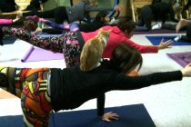 No kitten around: Cat yoga at Moggy’s Mission in Tecumseh